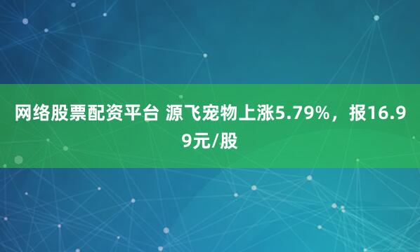 网络股票配资平台 源飞宠物上涨5.79%，报16.99元/股