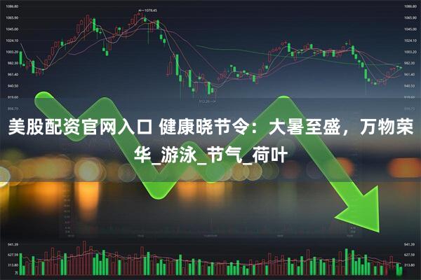 美股配资官网入口 健康晓节令：大暑至盛，万物荣华_游泳_节气_荷叶