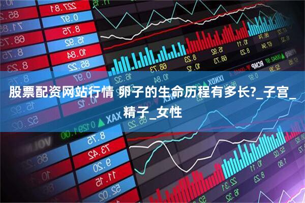 股票配资网站行情 卵子的生命历程有多长?_子宫_精子_女性
