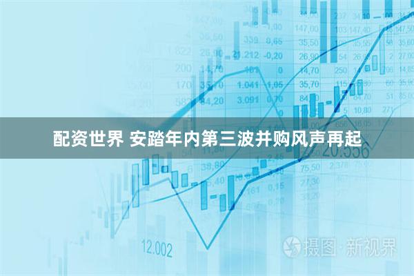 配资世界 安踏年内第三波并购风声再起